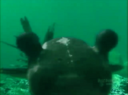 Screenshot 20181218-160349.png (861 KB)