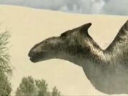 Saur