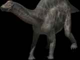Dicraeosaurus