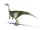 Ornithomimosaurs