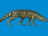 Hesperosuchus