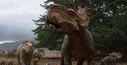 Walking-With-Dinosaurus-3D-Pachyrhinosaurus