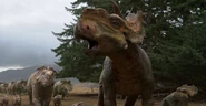 Walking-With-Dinosaurus-3D-Pachyrhinosaurus.jpg (317 KB)