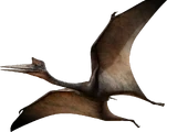 Quetzalcoatlus/Generation 2