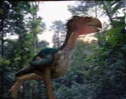 A Gastornis running through the forest