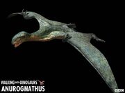 WWD Anorognathus