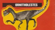 Ornitholestes (Official Sticker Album)