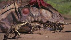 2_-_Young_Allosaurus