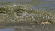 A Chasmatosaur peeking out of the water.