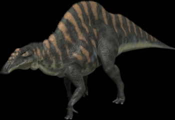 Humpbackedhadrosaur