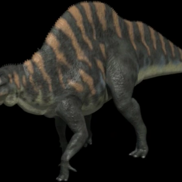 Humpbackedhadrosaur.png
