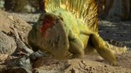 A Dimetrodon with a hurt eye, maybe a survivor of the left fight.