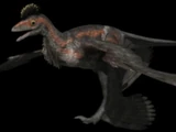 Microraptor
