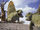 Dimetrodon Roaring.jpg