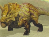 Arrhinoceratops/Generation 1