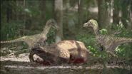 TGC VelociraptorPairKillsProtoceratops