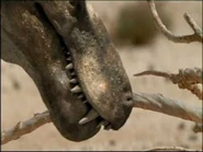 WWM1x3 GorgonopsidSmellsBranch.jpg (16 KB)