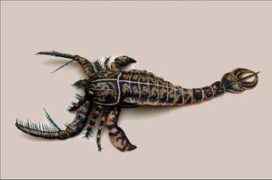 Megalograptus Walking With Wikis Fandom