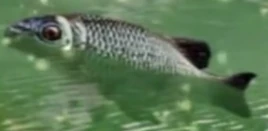 922482DF-33F2-4066-8988-D32D8581D77C