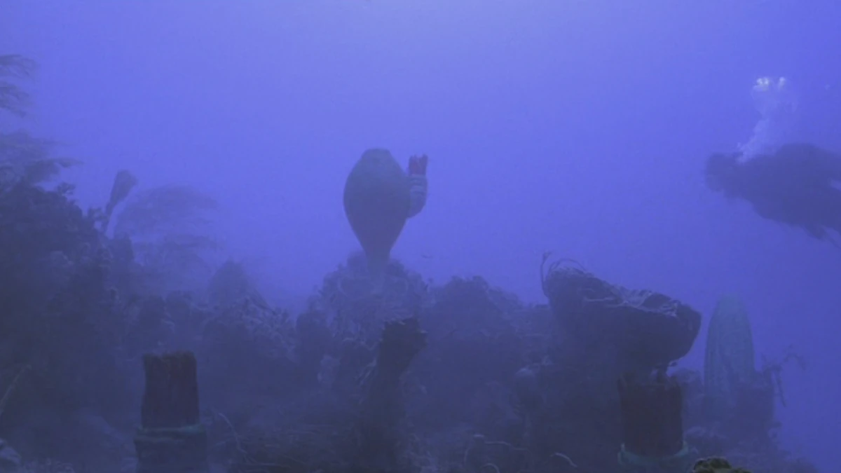 Ohio Walking With Wikis Fandom