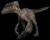Raptornumber2.png (26 KB)