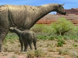 Oligocene