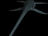Elasmosaurus/Generation 2