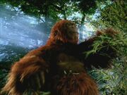 WWC1x3 Gigantopithecus