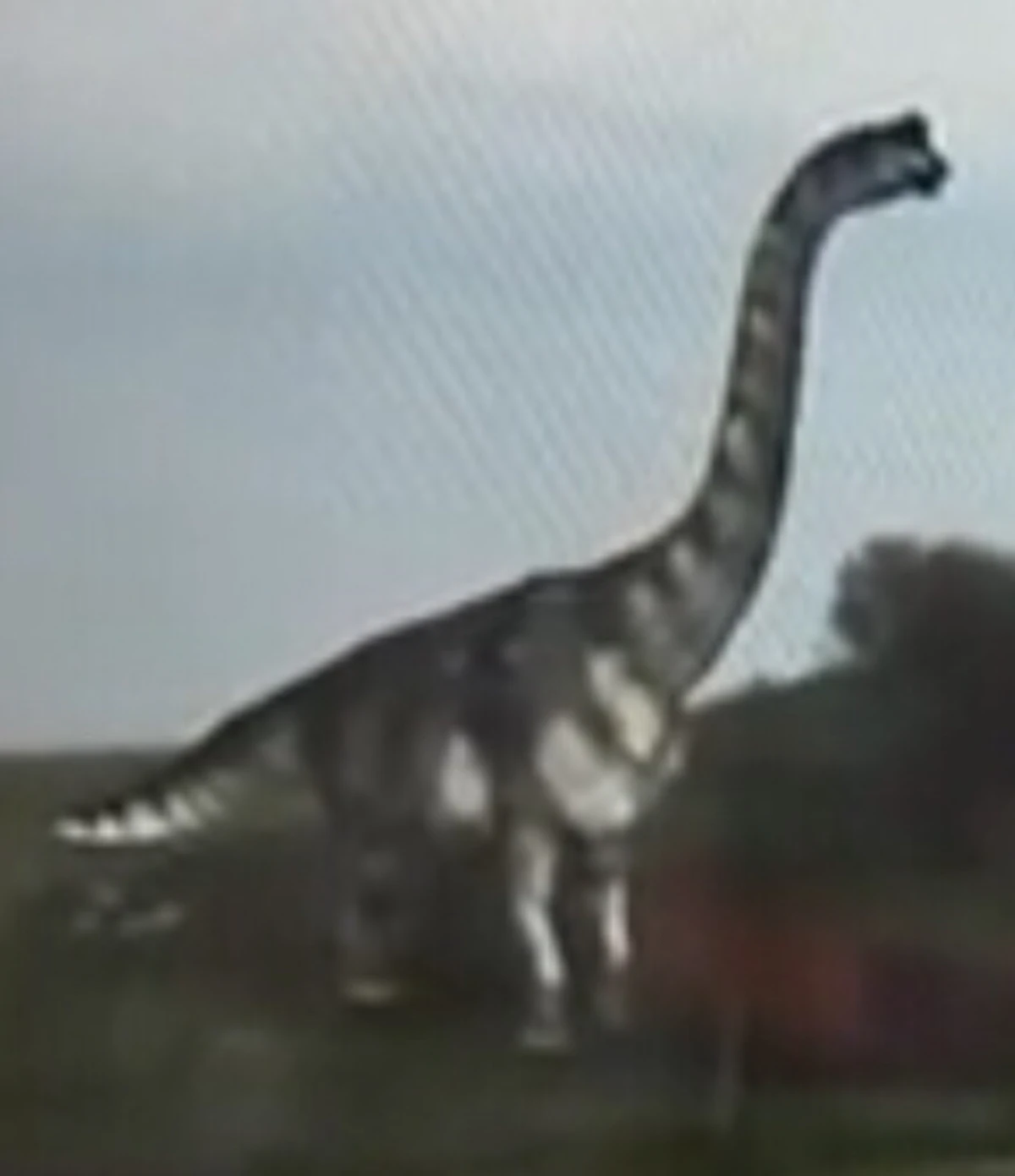 Pelorosaurus Walking With Wikis Fandom