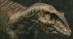 walking with dinosaurs giganotosaurus