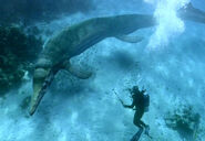 7634B512-538C-484D-890F-F62C4903F06B.jpeg (1.05 MB)