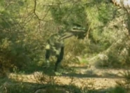 A camouflaged Eustreptospondylus on the hunt