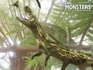 Euparkeria hunting Insects.