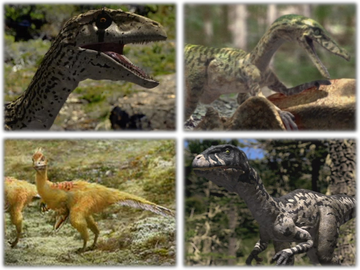 RaptorsCollage