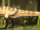 Ceratosaurus.png