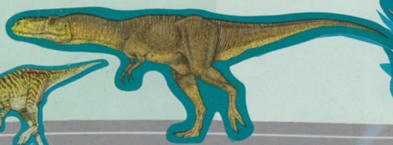 Alioramus Carnivorous Theropod Dinosaur Lived Asia Cretaceous