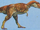 Albertosaurus