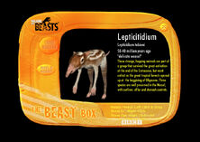 Beastbox-gallery-1