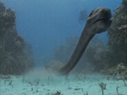 SM1x1 Tanystropheus.jpg (229 KB)