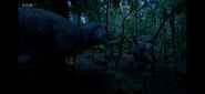 Tyrannosaurus rex Vs Triceratops