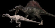 Suchomimus attacked by Spinosaurus