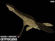 Cryptoclidus