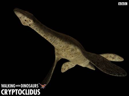 Cryptoclidus.jpg