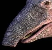 D2A312AB-7A6A-49CD-80F2-42E40187D5B7.jpeg (394 KB)