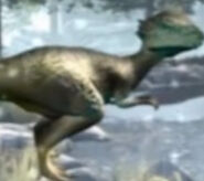 205A5304-18B0-4894-A05F-FCD4DB3A6922.jpeg (1.08 MB)