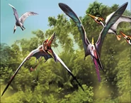 Rhamphorhynchus & Pterodactylus