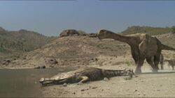 Size commparison of a sarcosuchus to an argentinosaurus