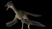 Archaeopteryx.png