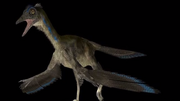 Archaeopteryx