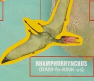 Rhamphorhynchus (Official Sticker Album)